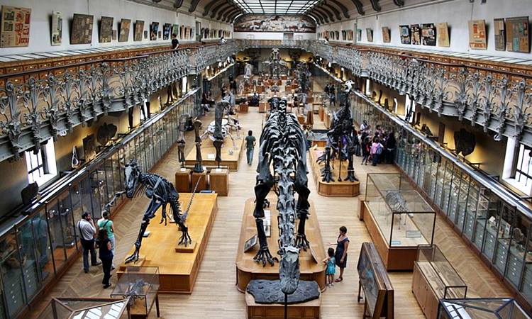 Musée National d'Histoire Naturelle (National Natural History Museum) in Paris, France.